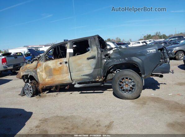 3TYLC5LN8RT004059 2024 TOYOTA TACOMA HYBRID Серый Вид задней части салона