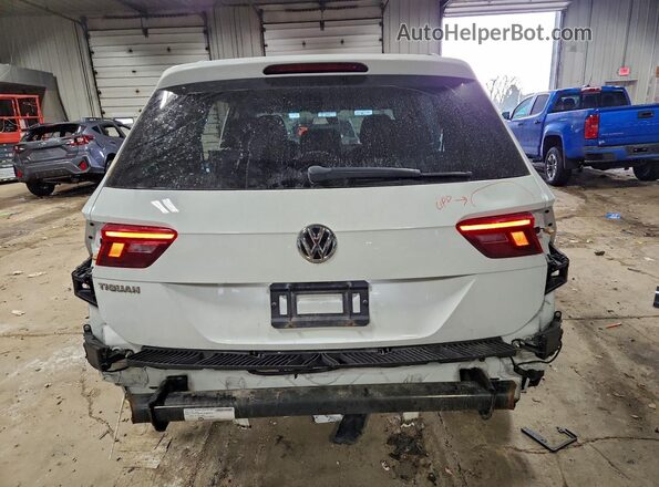 3VV1B7AX8KM087067 2019 VOLKSWAGEN TIGUAN White Вид ззаду