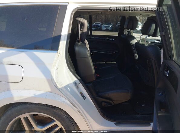 4JGDF7DE4HA755166 2017 MERCEDES-BENZ GLS 550 White VIN sticker view