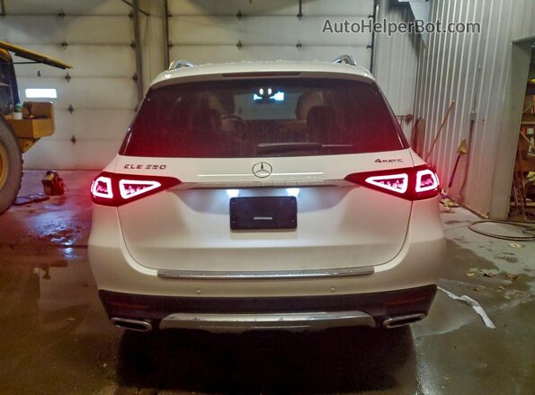 4JGFB4KBXMA391860 2021 MERCEDES-BENZ GLE Белый Вид сзади