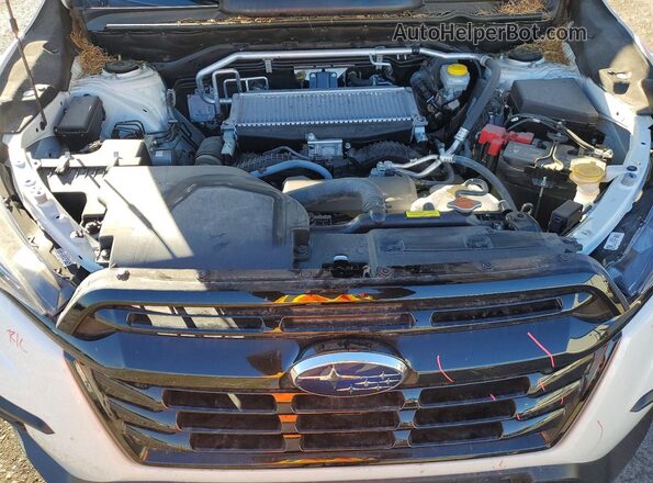 4S4WMAHD7R3441613 2024 SUBARU ASCENT Белый 