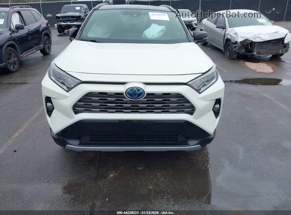 4T3E6RFV8LU004583 2020 TOYOTA RAV4 HYBRID Белый 