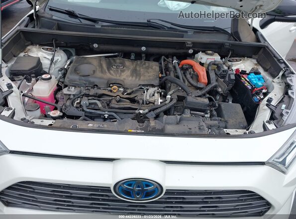 4T3E6RFV8LU004583 2020 TOYOTA RAV4 HYBRID Белый 