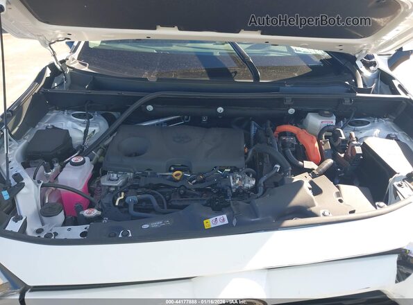 4T3RWRFV0SU197375 2025 TOYOTA LE Белый Вид сзади