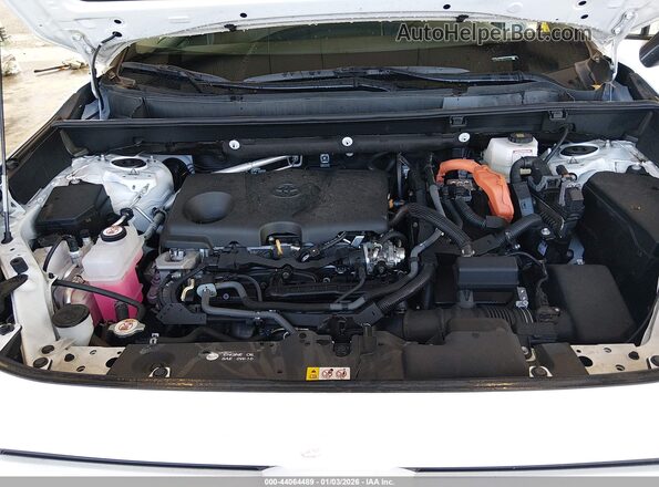 4T3RWRFV6RU113344 2024 TOYOTA LE White Հետևի տեսք