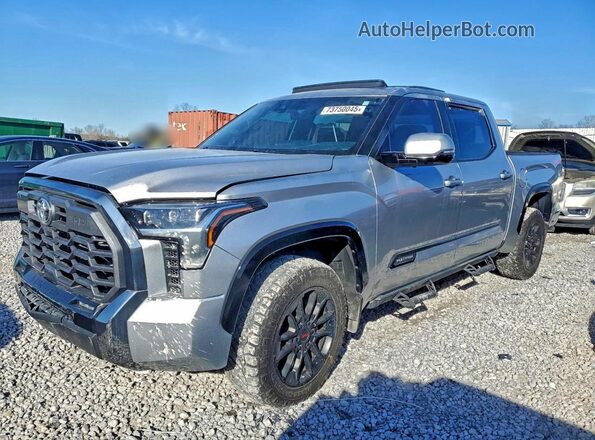 5TFWA5DB1RX237925 2024 TOYOTA LIMITED Серебряный Задняя левая четверть