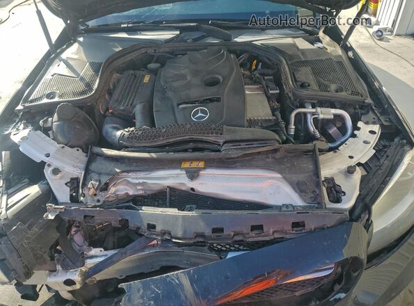 55SWF4JB6GU124025 2016 MERCEDES-BENZ C Black Rear interior view