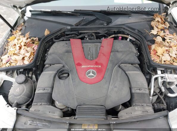 55SWF6EB0JU257182 2018 MERCEDES-BENZ AMG C 43 White Widok z tyłu
