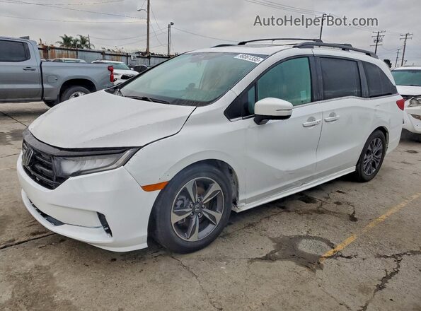 5FNRL6H83SB005645 2025 HONDA ODYSSEY White უკანა მარცხენა