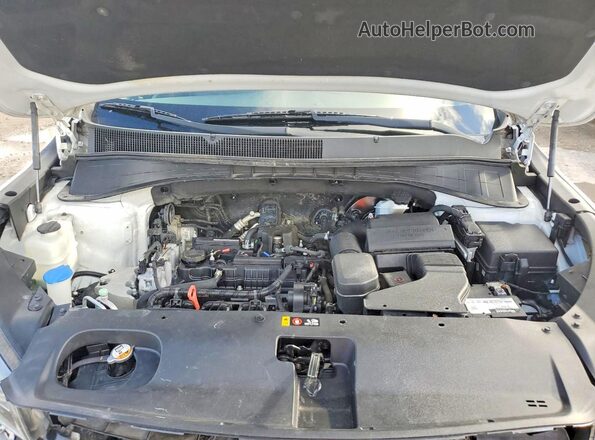 5XYPG4A36HG235745 2017 KIA SORENTO White 