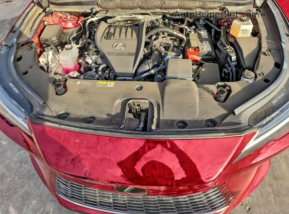 2T2BAMBA6RC051004 2024 LEXUS RX 350 Red Vista de la etiqueta del VIN