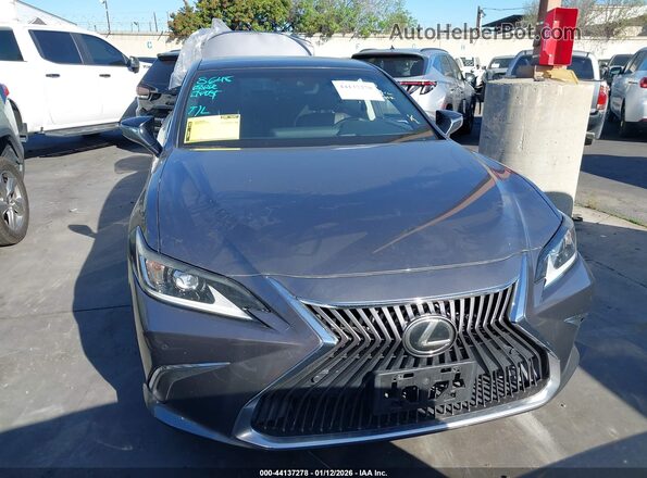 58ABZ1B11KU023359 2019 LEXUS ES 350 Gray უკანა სალონის ხედი