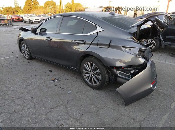 58AC21B10LU011066 2020 LEXUS ES 300H Gray Հետևի ձախ