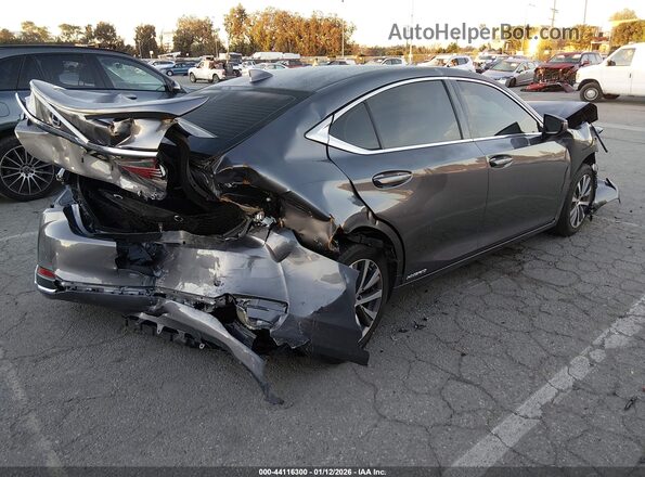 58AC21B10LU011066 2020 LEXUS ES 300H Gray Հետևի աջ