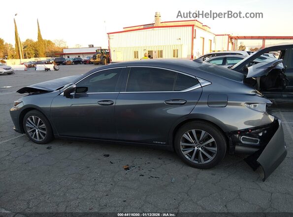 58AC21B10LU011066 2020 LEXUS ES 300H Gray Սալոնի հետևի տեսք