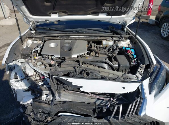 58AD21B10LU010259 2020 LEXUS ES 300H Белый Вид сзади