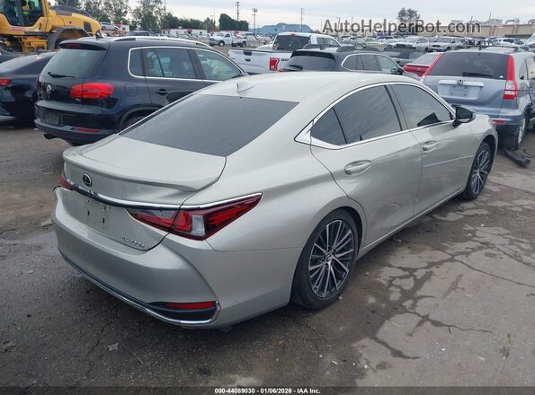 58ADA1C13PU033736 2023 LEXUS ES 300H Champagne უკანა მარჯვენა