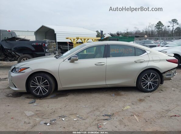 58ADA1C19PU033949 2023 LEXUS ES 300H Gold Панорамний вид салону 360°