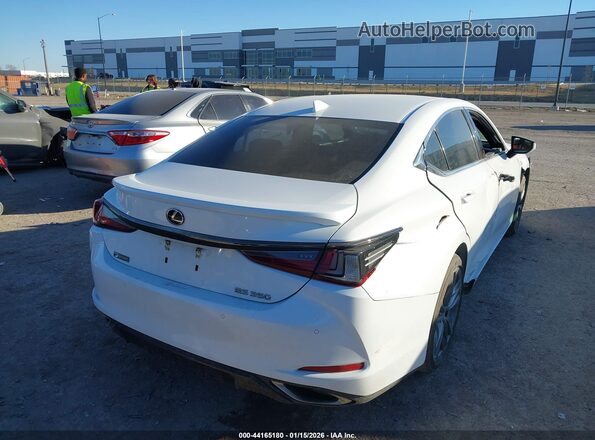 58AGZ1B13LU056581 2020 LEXUS ES 350 White Trasero derecho