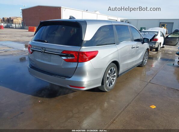 5FNRL6H62RB064761 2024 HONDA ODYSSEY Silver Հետևի աջ