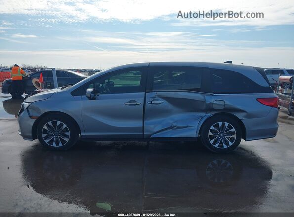 5FNRL6H62RB064761 2024 HONDA ODYSSEY Silver Սալոնի 360 աստիճան տեսք