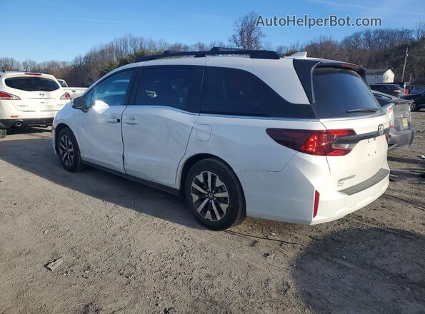 5FNRL6H62TB002204 2026 HONDA ODYSSEY White Задня ліва чверть