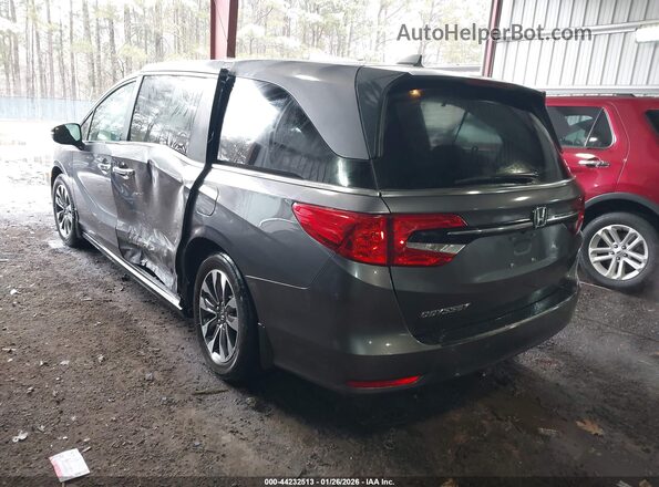 5FNRL6H66RB042004 2024 HONDA ODYSSEY Blue Հետևի ձախ
