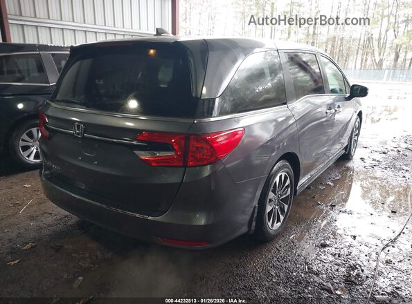 5FNRL6H66RB042004 2024 HONDA ODYSSEY Blue Հետևի աջ
