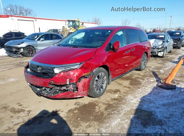 5FNRL6H66RB045341 2024 HONDA ODYSSEY Red Vista tres cuartos delantera izquierda
