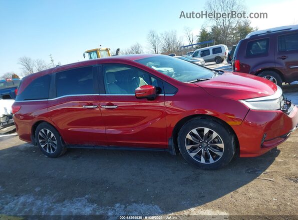 5FNRL6H66RB045341 2024 HONDA ODYSSEY Red Vista interior trasera