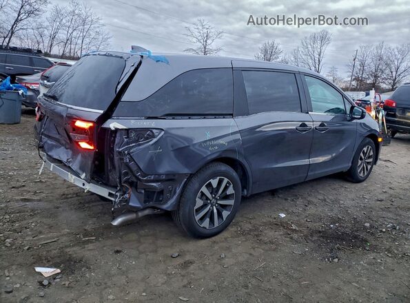 5FNRL6H66SB049976 2025 HONDA ODYSSEY Gray Tył prawy
