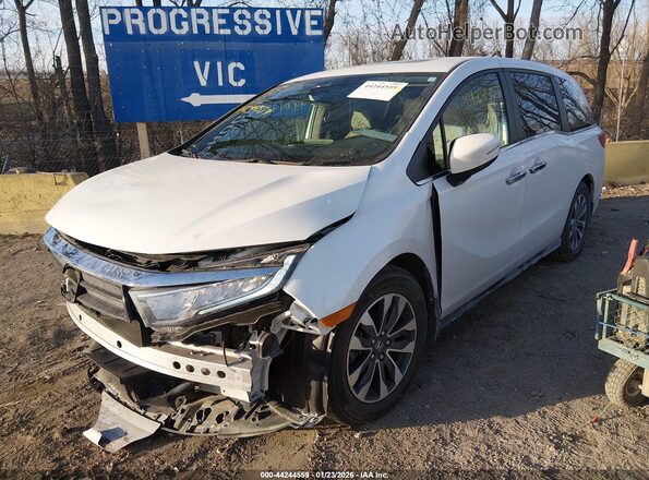 5FNRL6H67PB003581 2023 HONDA ODYSSEY White Front view