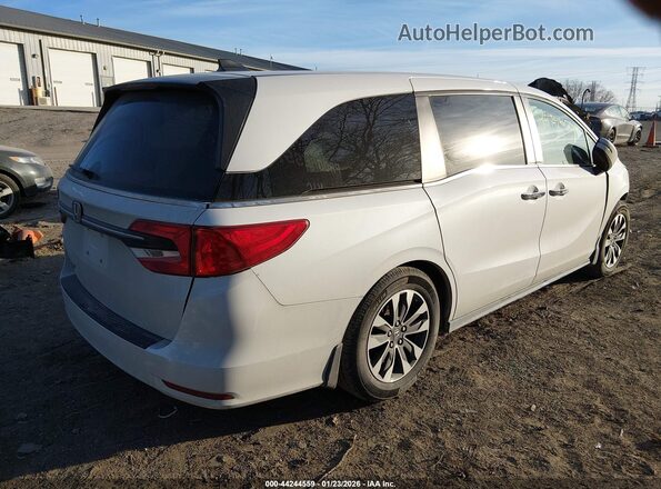 5FNRL6H67PB003581 2023 HONDA ODYSSEY White Rear right