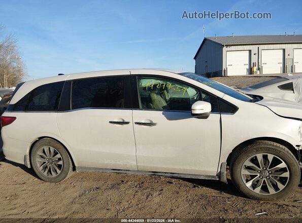 5FNRL6H67PB003581 2023 HONDA ODYSSEY White Rear interior view
