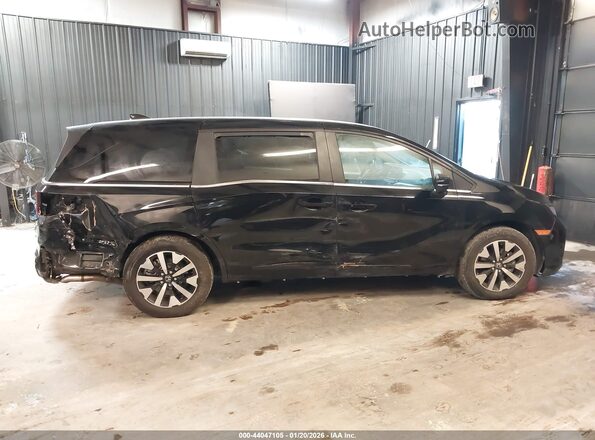 5FNRL6H69SB072393 2025 HONDA ODYSSEY Black Панорамний вид салону 360°
