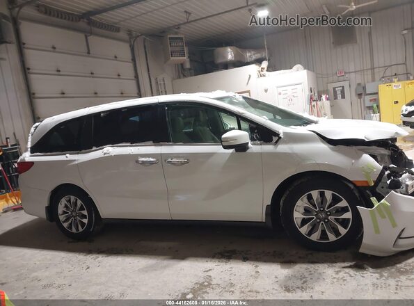 5FNRL6H72NB001355 2022 HONDA ODYSSEY White Սալոնի հետևի տեսք