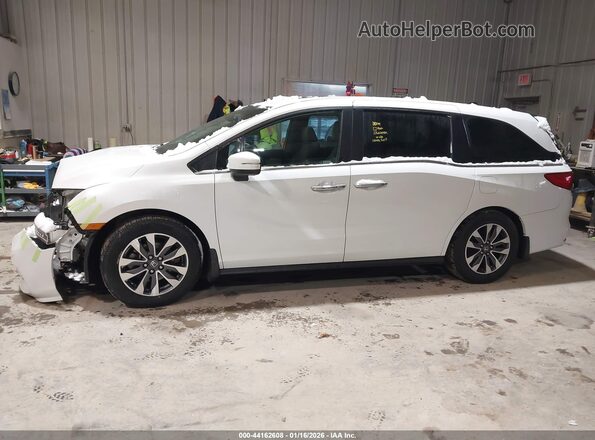 5FNRL6H72NB001355 2022 HONDA ODYSSEY White Սալոնի 360 աստիճան տեսք