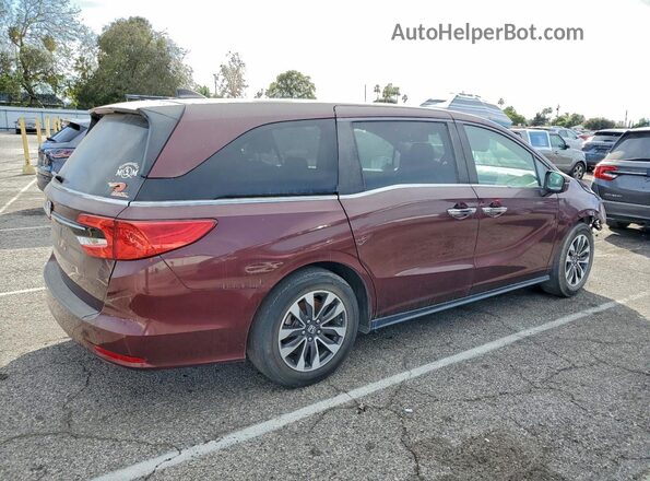 5FNRL6H77MB023883 2021 HONDA ODYSSEY Burgundy Հետևի աջ