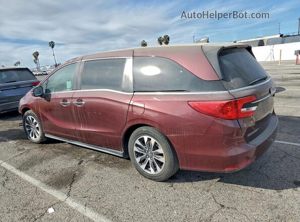 5FNRL6H77MB023883 2021 HONDA ODYSSEY Burgundy Հետևի ձախ