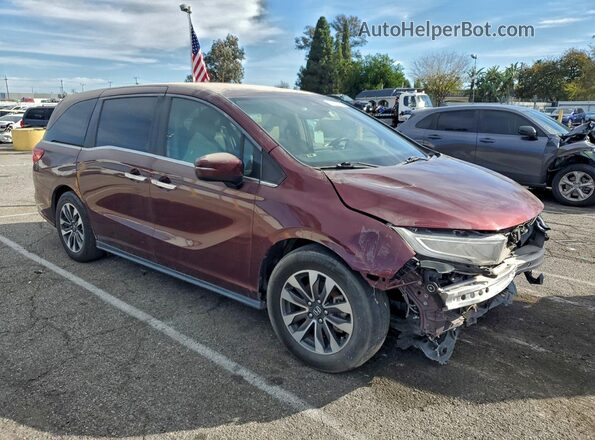 5FNRL6H77MB023883 2021 HONDA ODYSSEY Burgundy Առջևի աջ