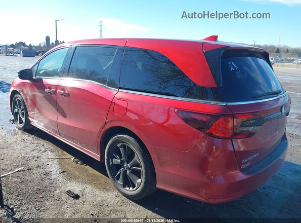 5FNRL6H78PB054550 2023 HONDA ODYSSEY Red Հետևի ձախ