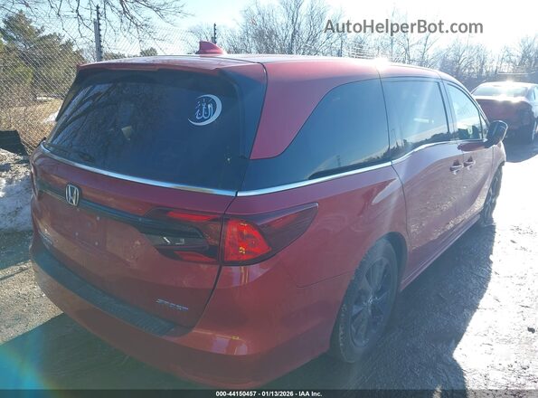 5FNRL6H78PB054550 2023 HONDA ODYSSEY Red Հետևի աջ