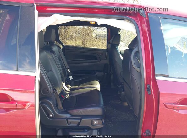 5FNRL6H78PB054550 2023 HONDA ODYSSEY Red VIN կոդի պիտակի տեսք