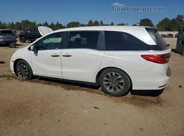 5FNRL6H7XMB021612 2021 HONDA ODYSSEY White უკანა მარცხენა