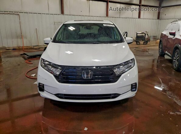 5FNRL6H80RB012384 2024 HONDA ODYSSEY White Widok z przodu