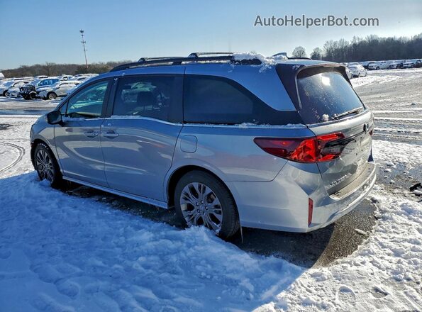5FNRL6H82SB029306 2025 HONDA ODYSSEY Серебряный Задняя левая четверть