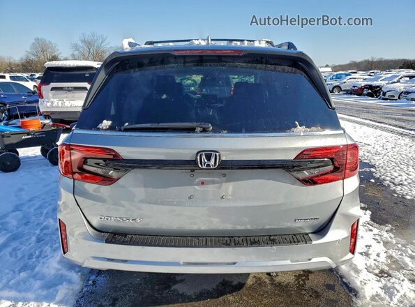 5FNRL6H82SB029306 2025 HONDA ODYSSEY Серебряный Вид сзади
