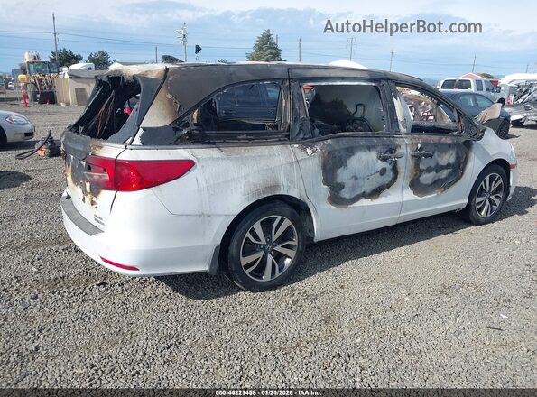 5FNRL6H95LB027737 2020 HONDA ODYSSEY White Tył prawy