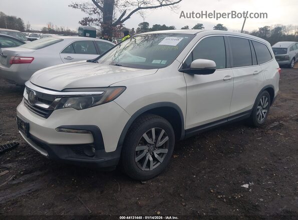 5FNYF6H55KB011181 2019 HONDA PILOT White 
