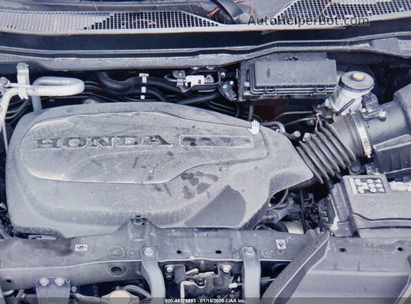 5FNYF7H56NB005142 2022 HONDA PASSPORT  Вид сзади